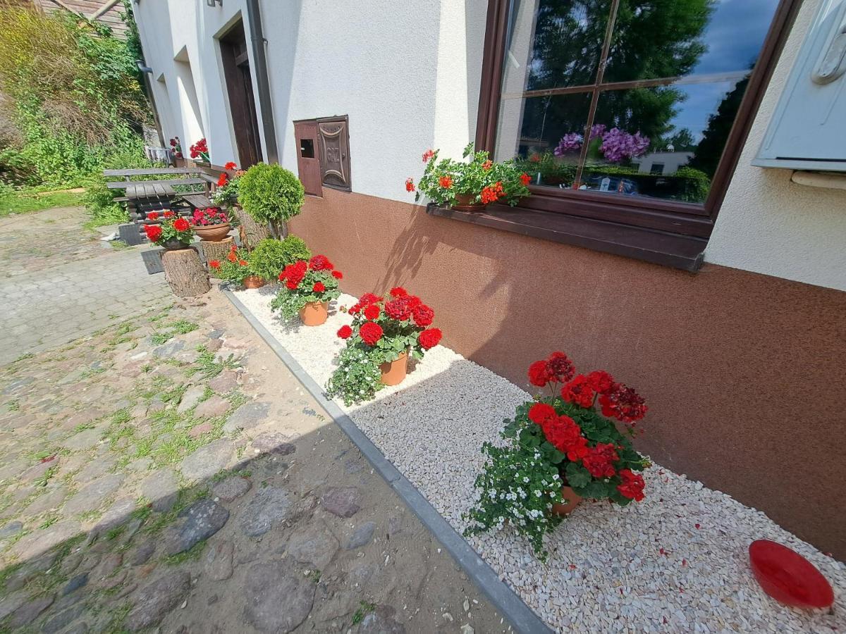 Apartament Deluxe-Gontalowy Kazimierz Dolny Dış mekan fotoğraf